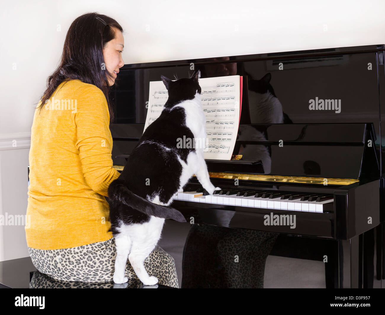 Photo of mature woman playing piano with her family pet cat with his paws on the keyboard whiles she is playing Stock Photo