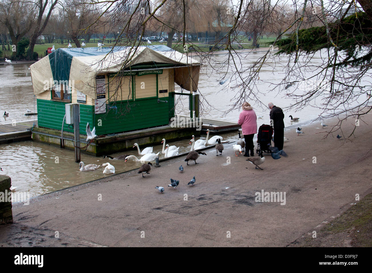 People feeding birds in winter, Stratford-upon-Avon, UK Stock Photo