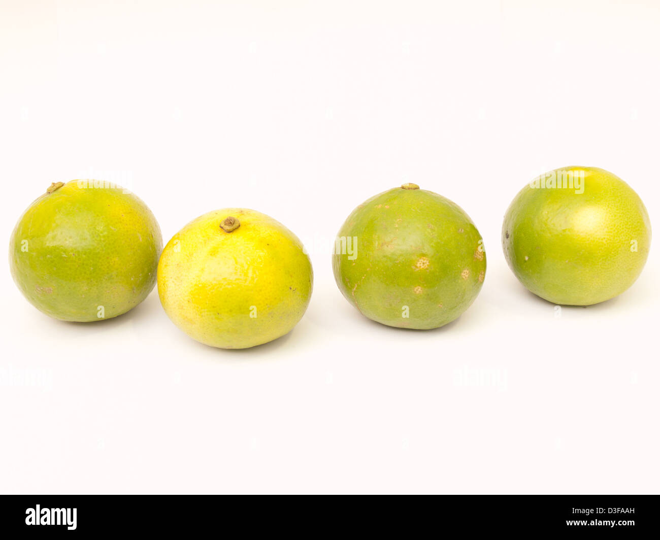 Limes isolated on white background Stock Photo Alamy