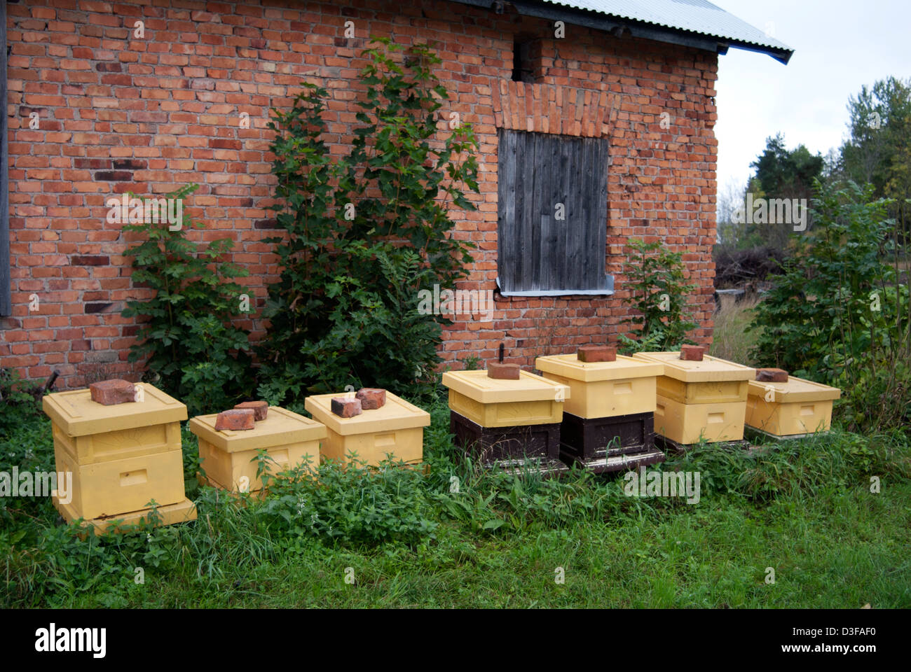 beehives along side a house in Sweden Stock Photo
