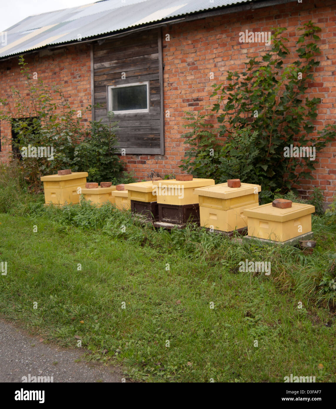 beehives along side a house in Sweden Stock Photo