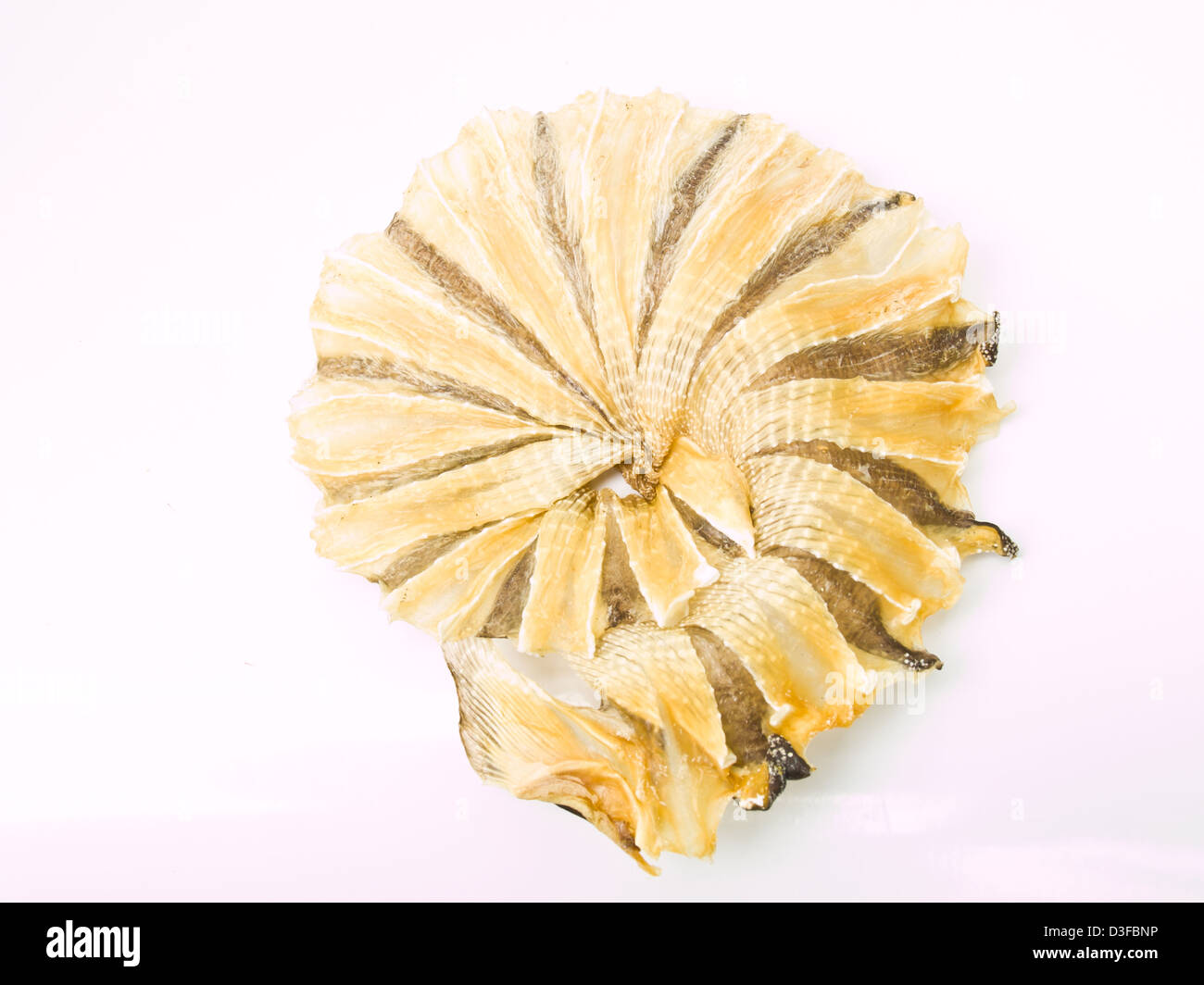 Round dried fishes from Thailand isolated on white background Stock Photo