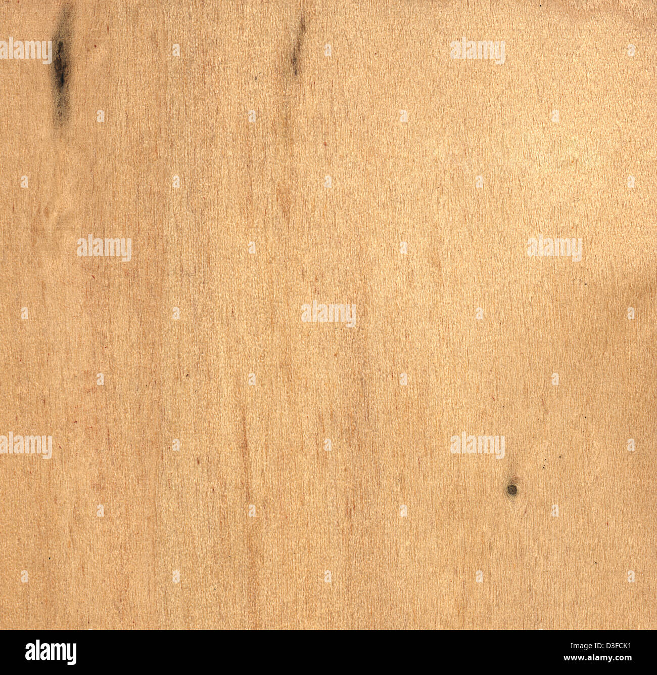 Tulip poplar wood Stock Photo Alamy