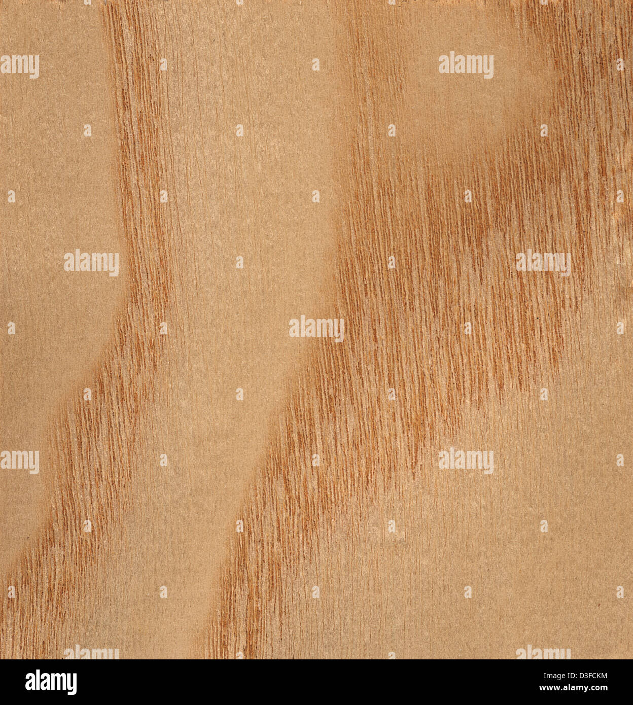Ash wood showing grain pattern Stock Photo