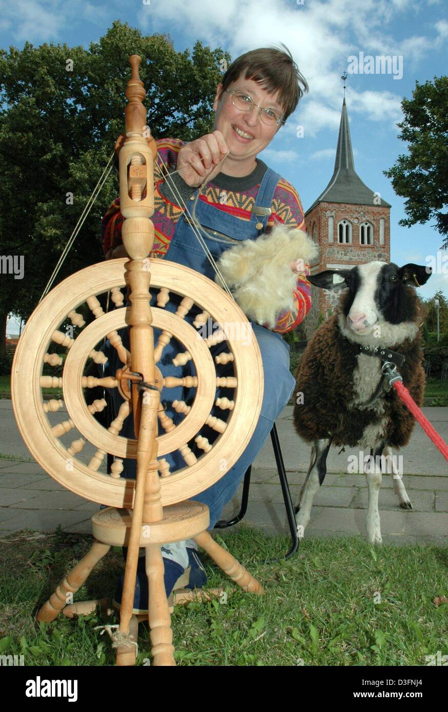 (dpa) - Ira Eggert works on a spinning wheel with a sheep standing by her side, in Meesiger, eastern Germany, 1 September 2004. Eggert had to give up her profession as a cattle breeder due to health reasons and now produces socks and pullovers for her friends, family and neighbours. It takes her around ten hours spinning and knitting to finish a pair of socks. Stock Photo