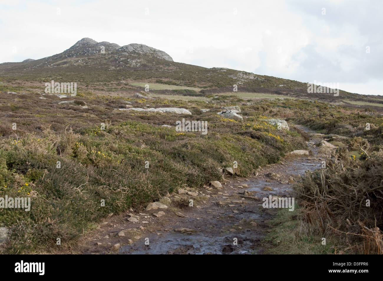 the-welsh-coastal-path-near-whitesands-in-pembrokeshire-stock-photo-alamy