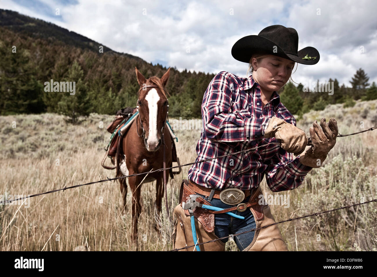 Cowgirl wrangler repairing fence, Montana, USA Stock Photo