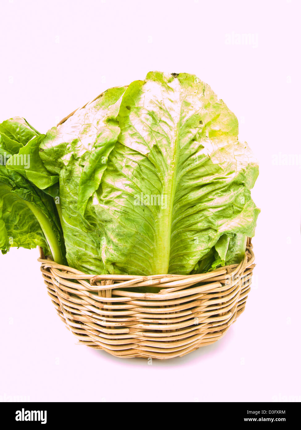Fresh cos salad in rattan basket isolated on white background Stock Photo