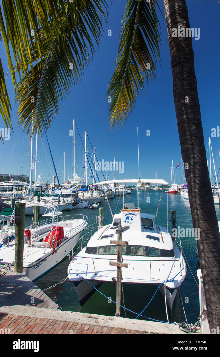 Key West Marina, Key West, Florida, USA Stock Photo Alamy