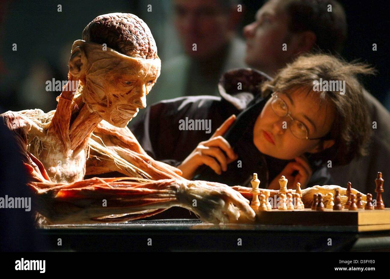(dpa) - A visitor looks at an exhibit at the Body World exhibition in Munich, Germany, 23 February 2003. After weeks of debates the Bavarian administrative court approved on 21 February 2003 of the controversial exhibition Body Worlds to exhibit in Munich. But not all of the prepared human bodies are allowed to be exhibited. Stock Photo
