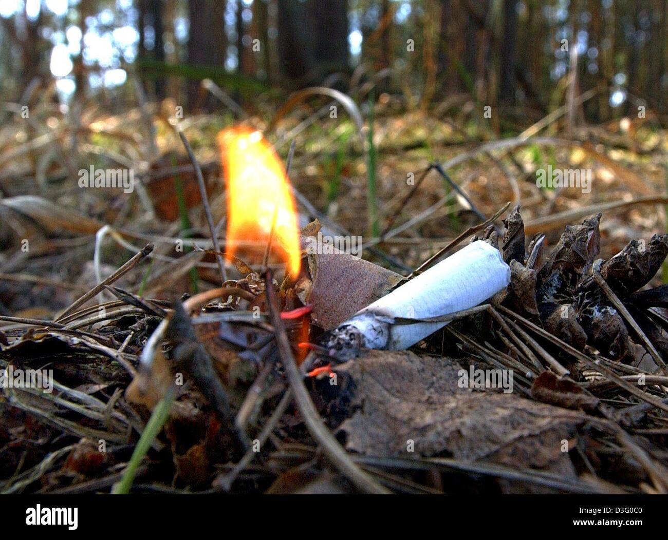 (dpa) This staged scene shows how easily fire can spread from a