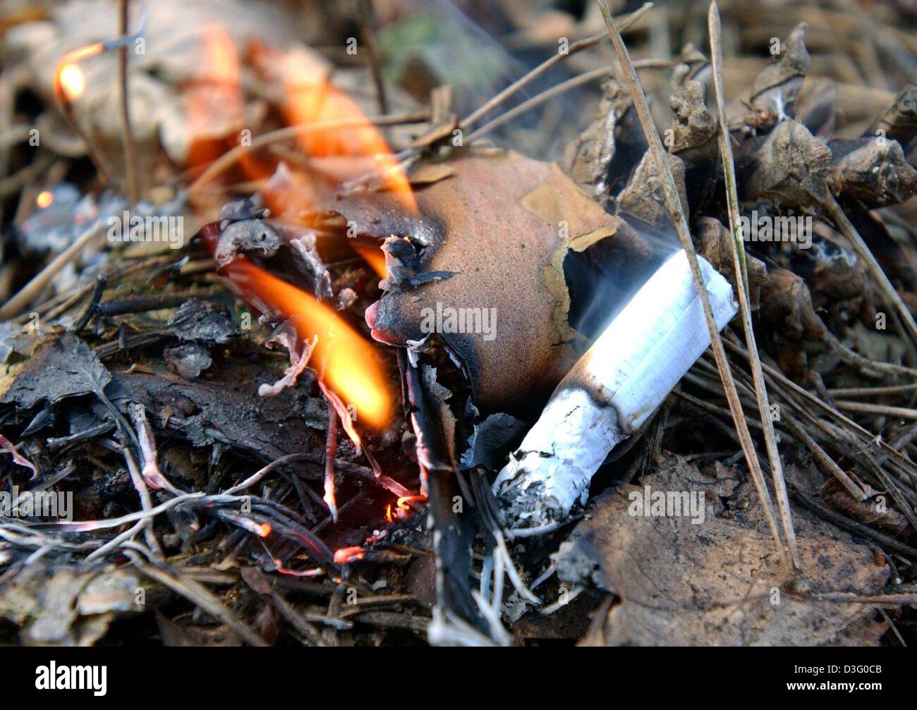 (dpa) This staged scene shows how easily fire can spread from a