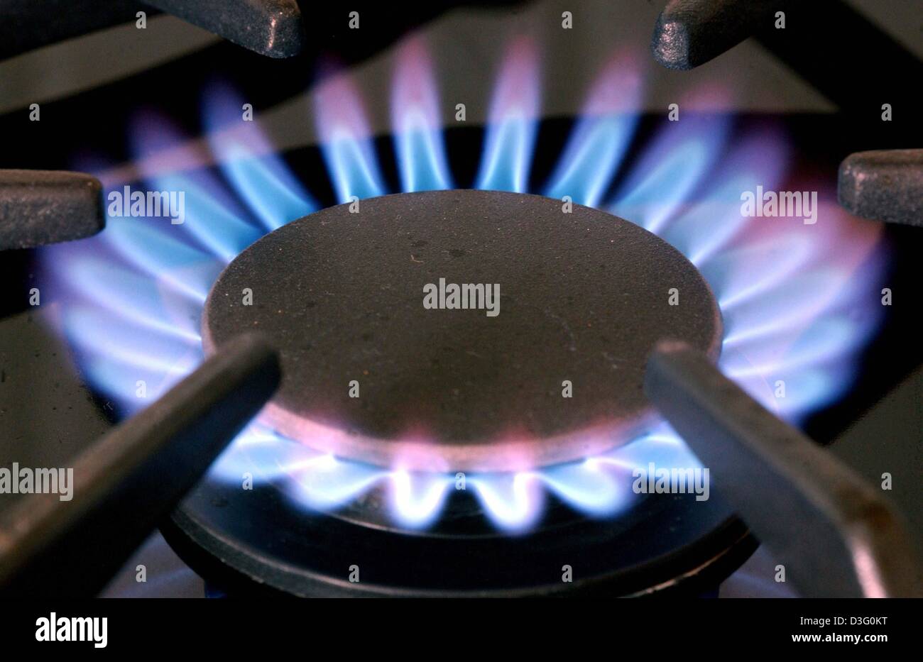 (dpa) The open flames of a gas stove pictured in Sieversdorf, Germany