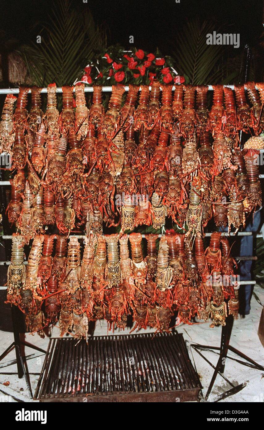 (dpa) - Crayfish are lined up on a grill during the festive opening party of the luxury hotel Sun International Le Touessrok on the eastern coast of Mauritius, an island in the Indian Ocean, 7 December 2002. The six-star hotel reopened in December 2002 after months of renovations. Stock Photo