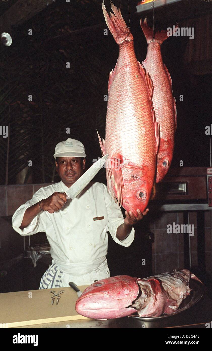 (dpa) - A cook slices big fishes for the festive opening party of the luxury hotel Sun International Le Touessrok on the eastern coast of Mauritius, an island in the Indian Ocean, 7 December 2002. The six-star hotel reopened in December 2002 after months of renovations. Stock Photo