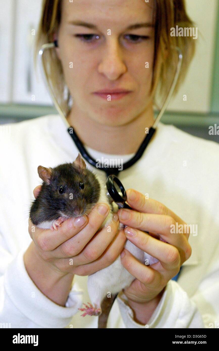 (dpa) Assistant veterinarian Anne Kathrin Fluegge examines a small