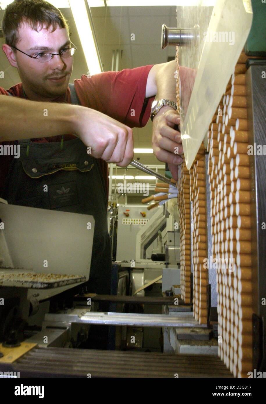 (dpa) - Cigarettes are piled up in stacks and an employee takes out samples for a quality check, at the cigarette producer British American Tobacco in Bayreuth, Germany, 24 October 2003. 1,200 employees produce 32 million cigarettes every year. The main brands are Lucky Strike, Pall Mall and HB. Stock Photo