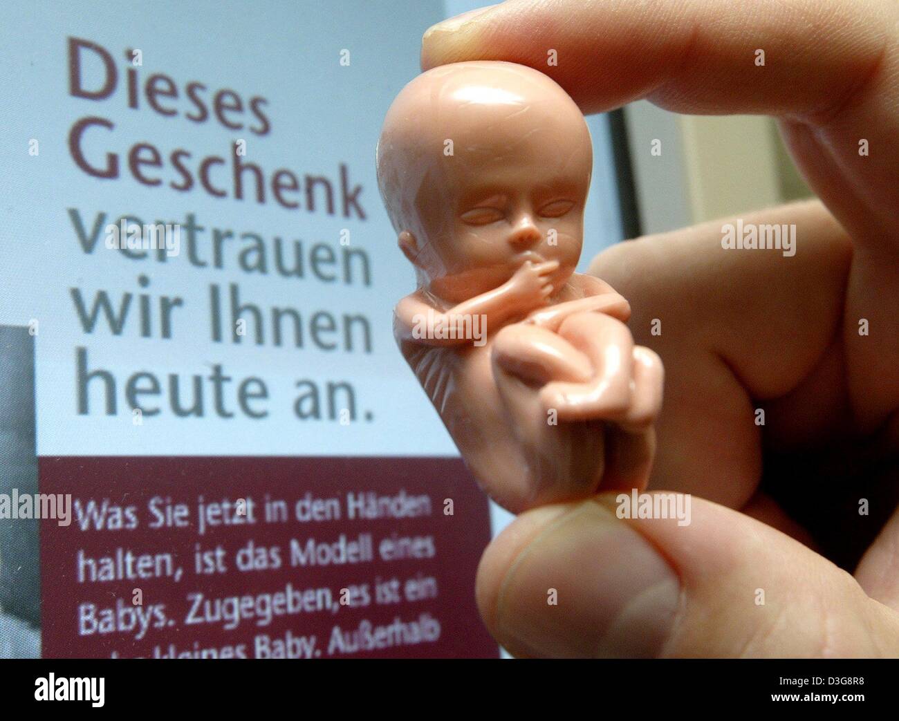 (dpa) - A plastic embryo in the tenth week of pregnancy is presented at the Catholic 'Durchblick' club in Bruchsal, Germany, 15 October 2003. The computer screen in the background shows a part of the brochure with which the club wants to protest against abortion. The text reads: 'This present we entrust to you today. - What you are now holding in your hand, is the model of a baby.  Stock Photo