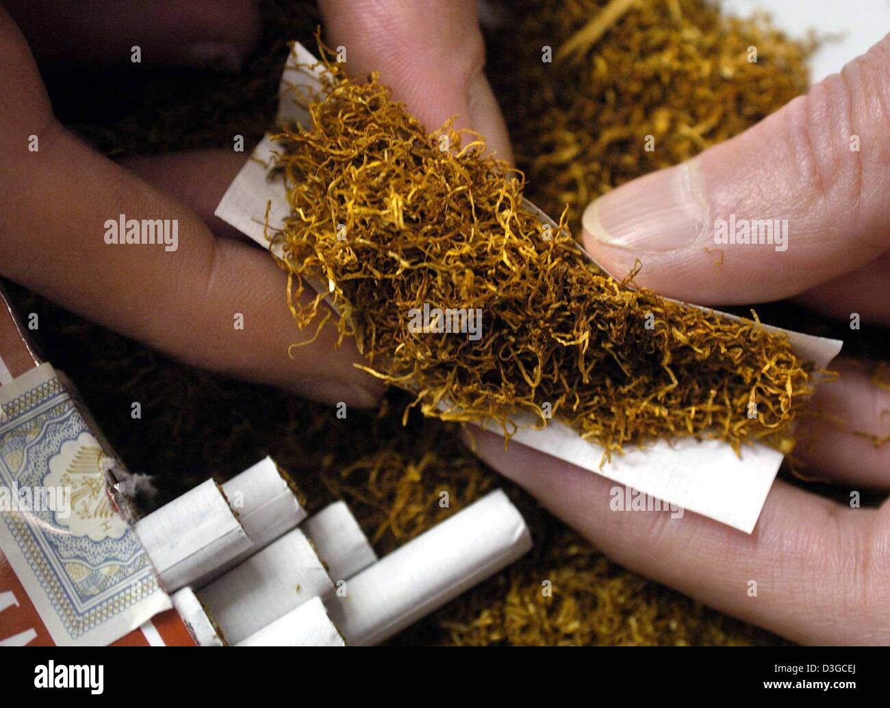 (dpa files) Two hands rolling a cigarette are seen next to a pack of