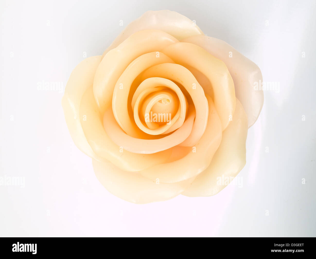 A light pink rose's candle isolated on white background Stock Photo