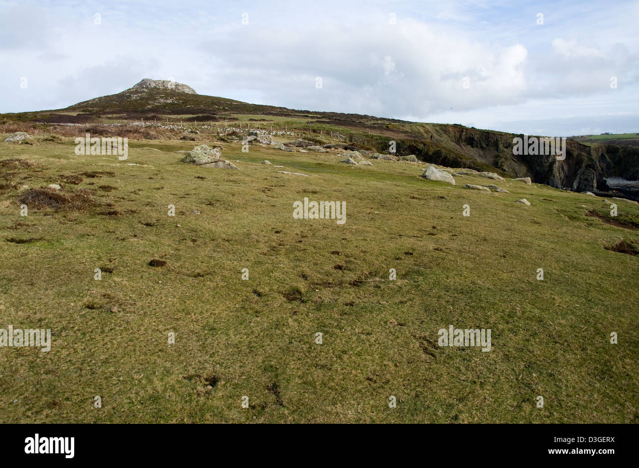 the-welsh-coastal-path-near-whitesands-in-pembrokeshire-wales-stock