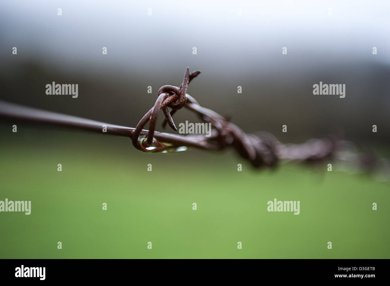 An extreme close-up of old stock fence in the Australian countryside ...