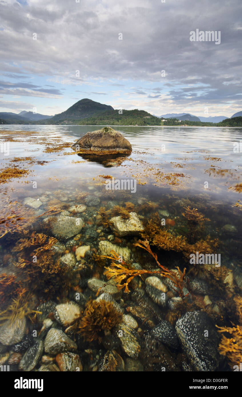 Beneath the fjord water in Norway Stock Photo