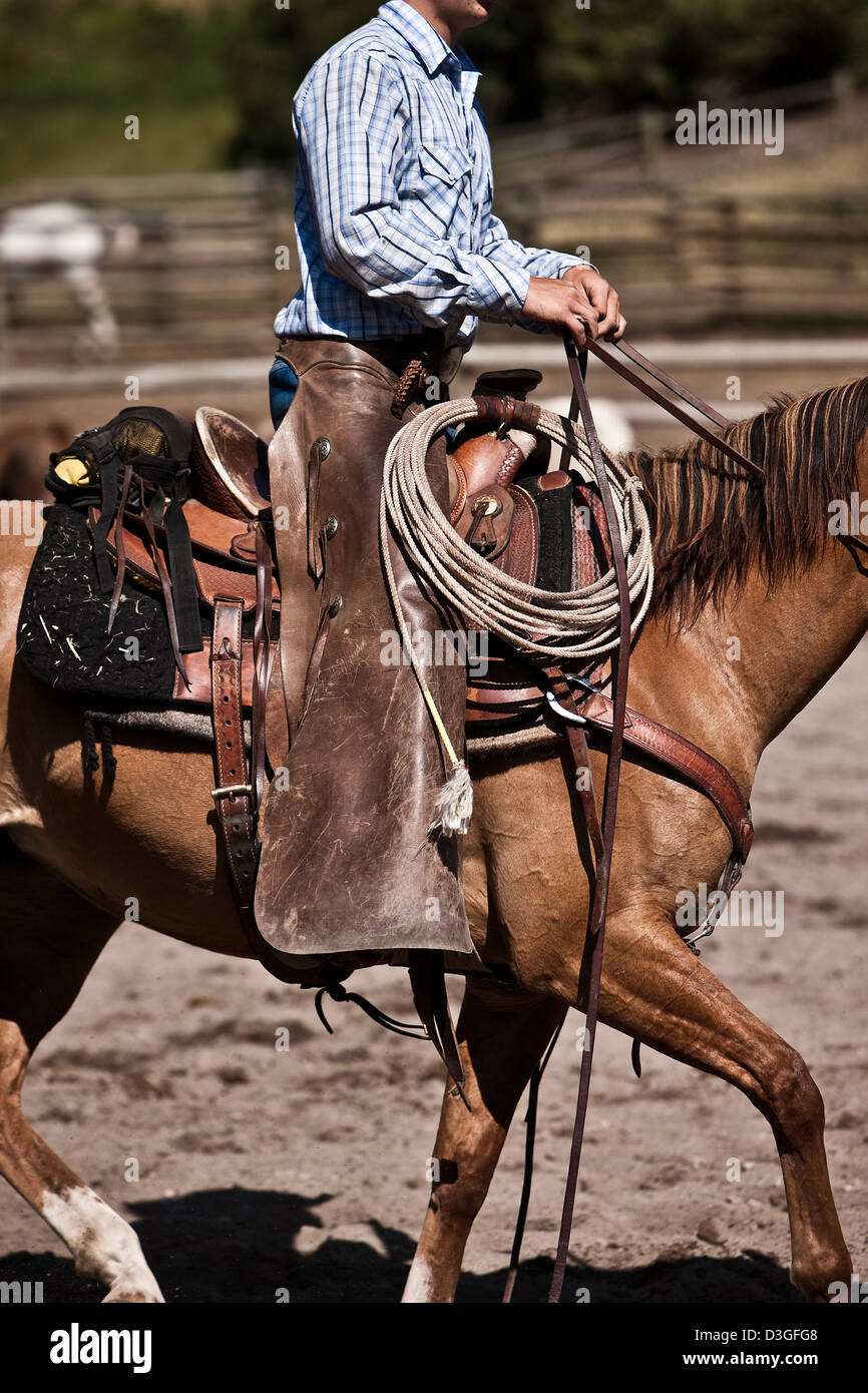 Cowboy wrangler in chaps riding in corral, Montana USA Stock Photo