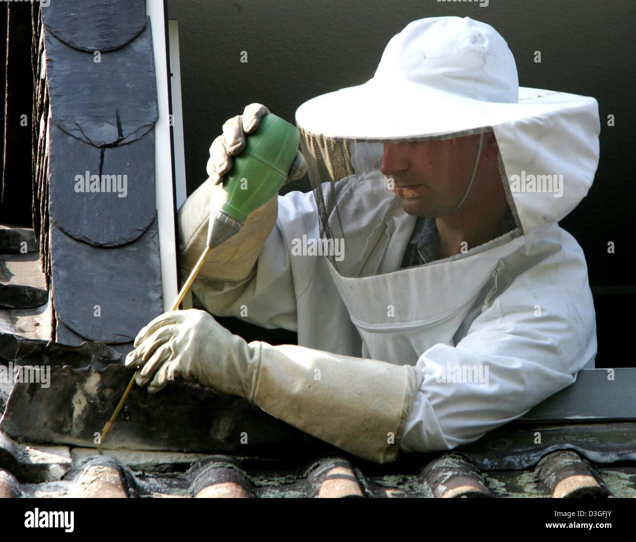 (dpa) - Exterminator Dirk Kemmerling injects a poisonous substance into the opening of a wasp's nest in the roof of a house in Duesseldorf, Germany, 7 September 2004. Because of the hot summer in 2003 and the following mild winter many wasp queens survived. This has led to a steep increase in the wasp population in Germany which has turned into a plague. Stock Photo