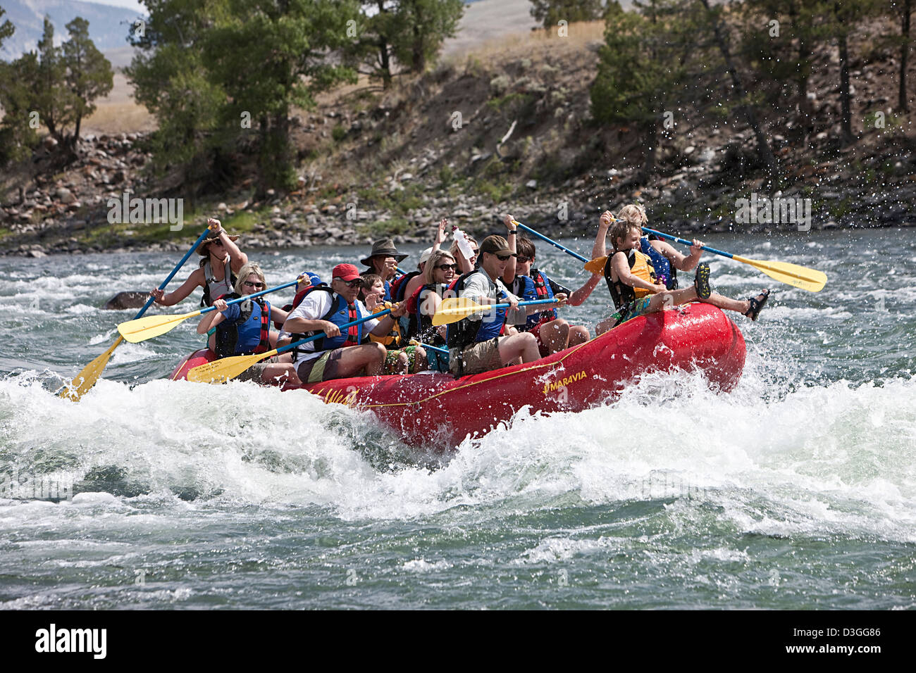 Whitewater rafting, Yellowstone river, near Gardiner, Montana, USA