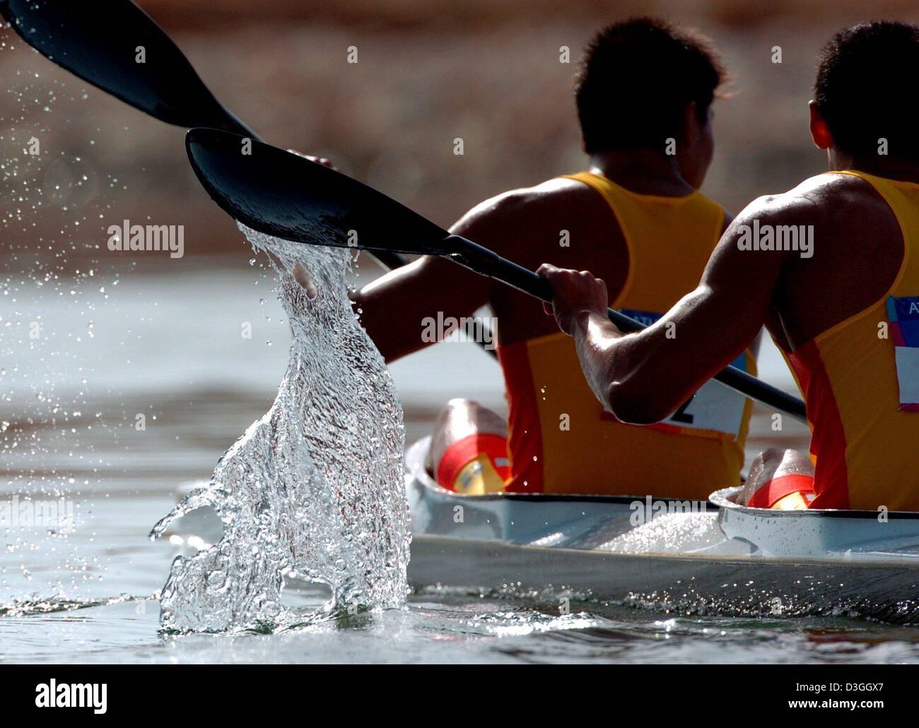 (dpa) - Paddles of Chinese Yijun Yin and Lei Wang splash in the water during a qualification heat of the Men's Olympic Kayak K2 500 m at Schinias Rowing and Canoeing Centre, Greece, 26 August 2004. Stock Photo