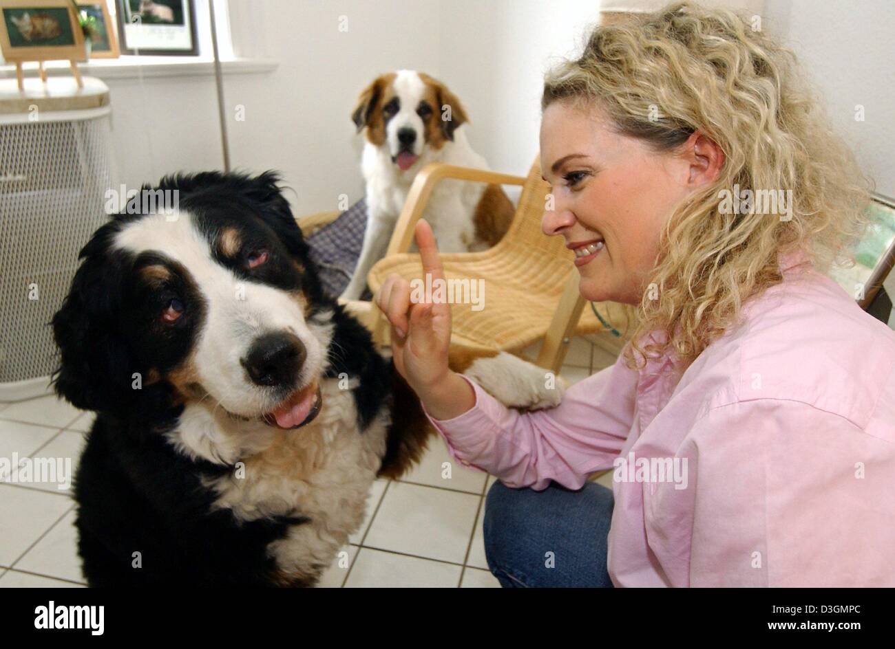 Human interest hum health hth animals psychologist analyst dog gesture  germany hi-res stock photography and images - Alamy