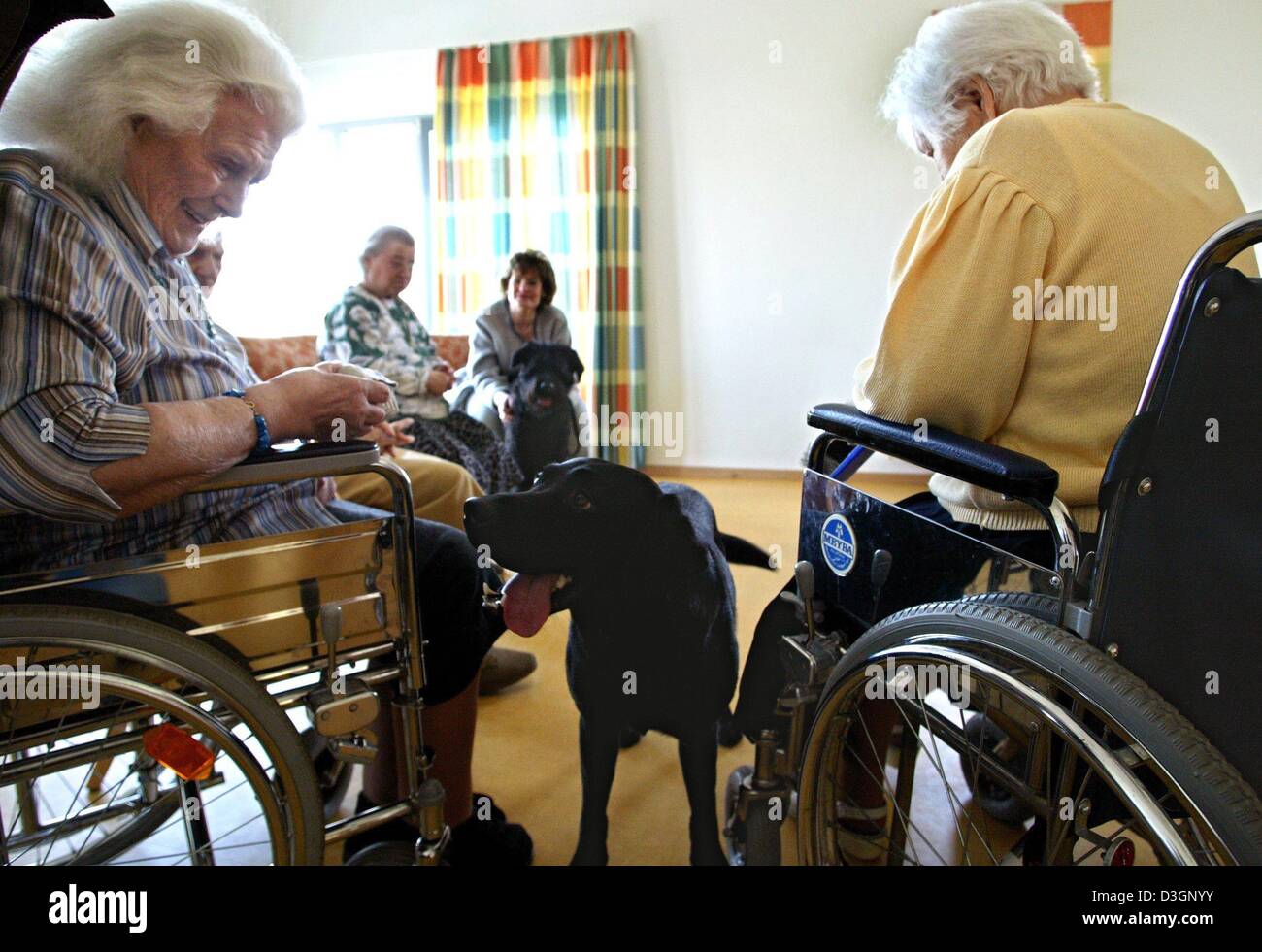 Two old ladies with dog hi-res stock photography and images - Alamy