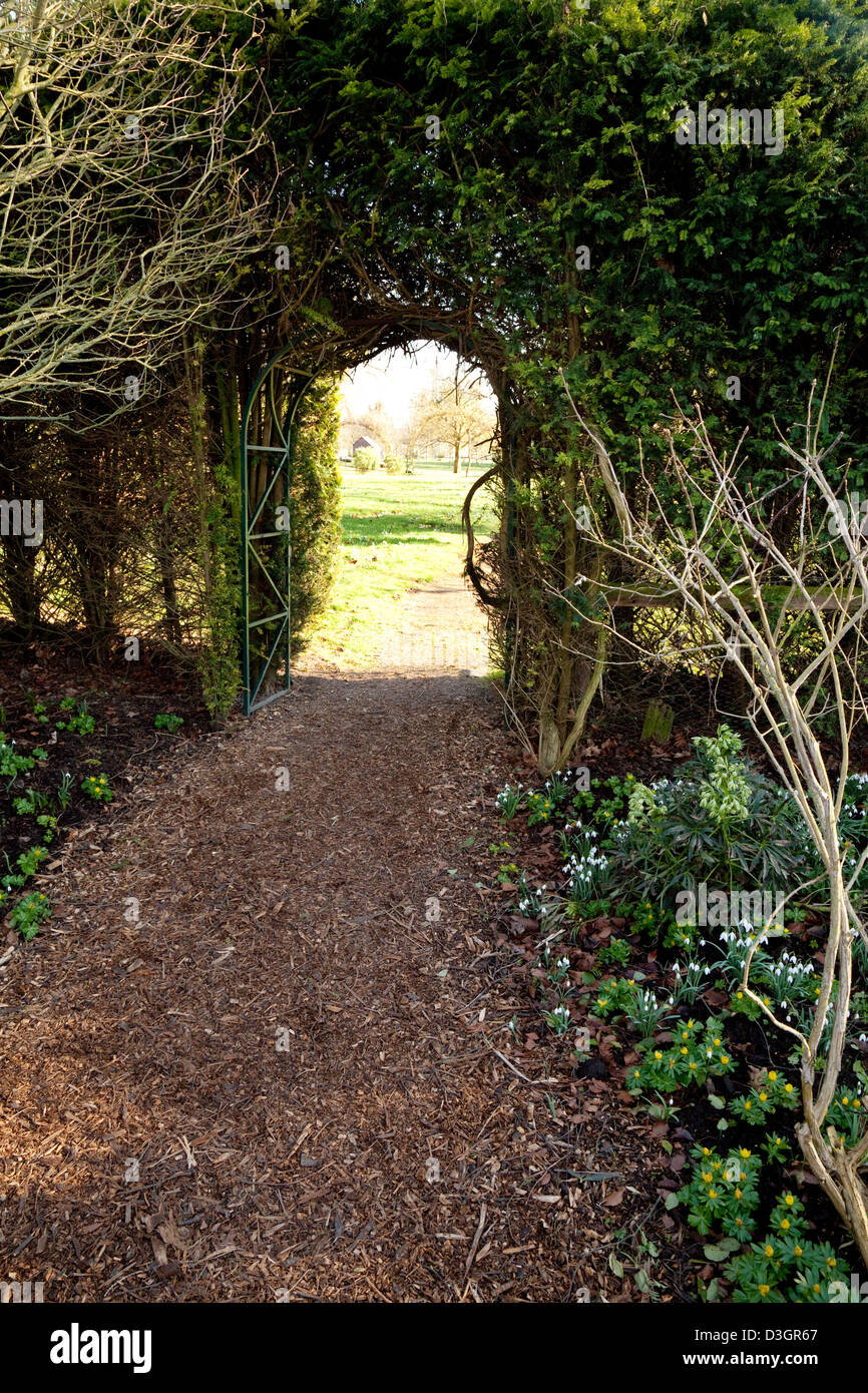 An open gate in a hedge leading to a garden, Chippenham Park House and gardens Cambridgeshire UK Stock Photo