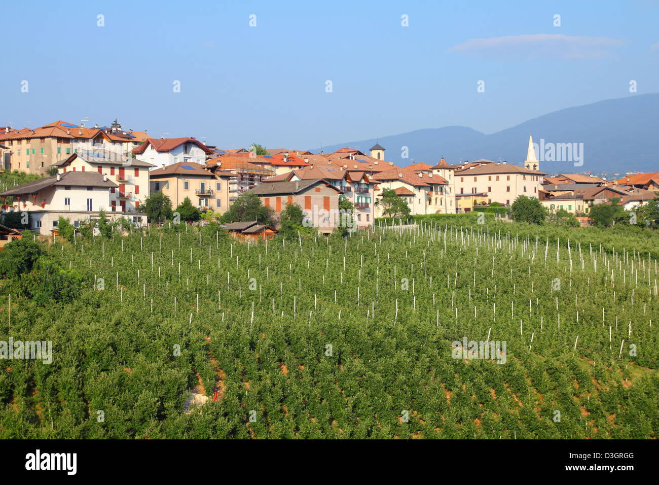 Revo town and apple orchards in Val di Non - valley in province of ...