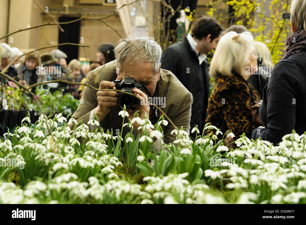 Spring flower displays at the RHS London Plant and Design Show 2013 on ...
