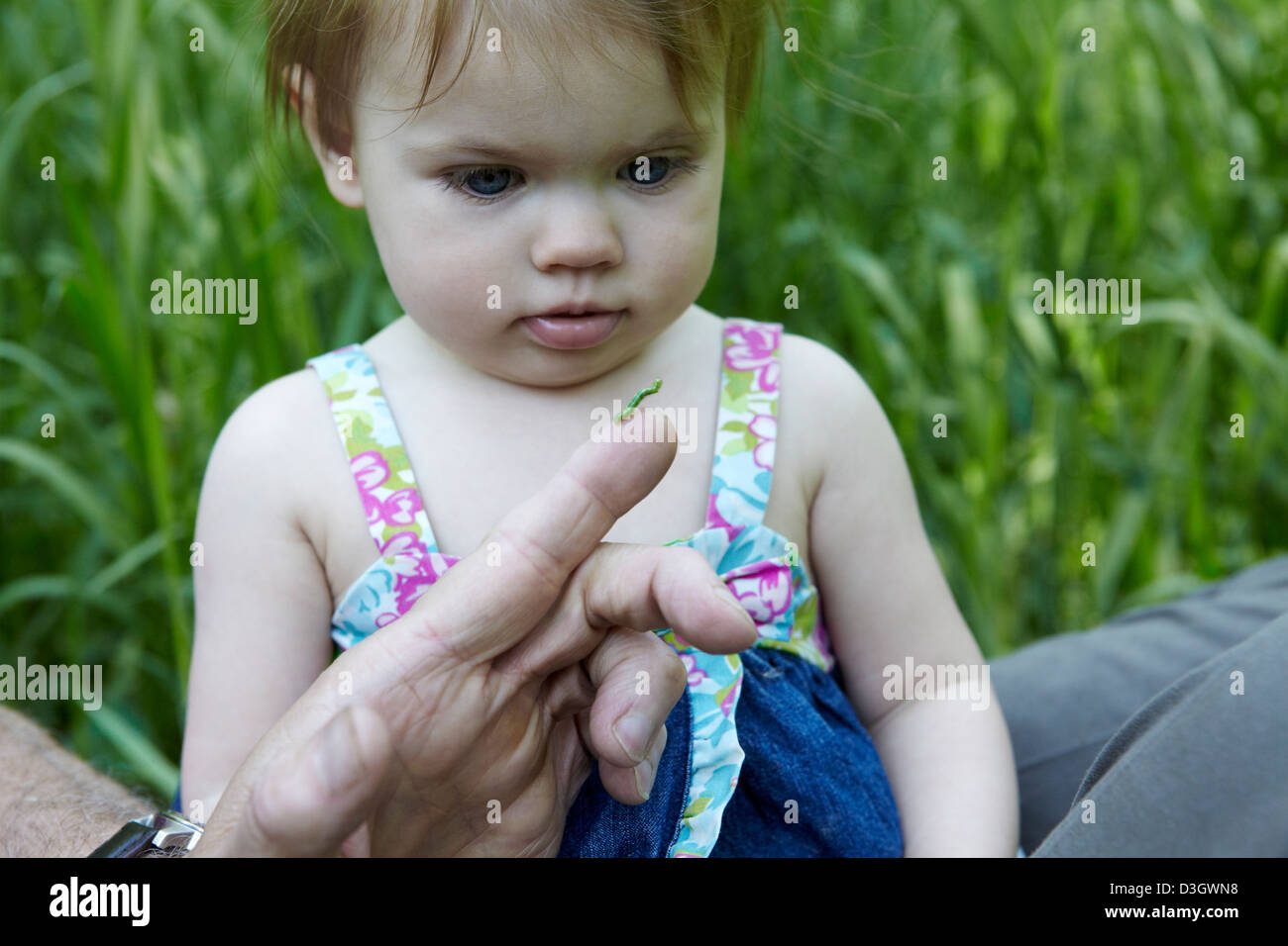 1 year old girl looks at green caterpillar Stock Photo