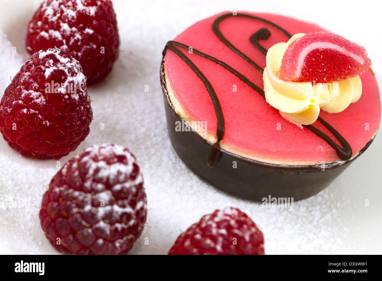 chocolate petit four with raspberries dusted with icing sugar Stock Photo