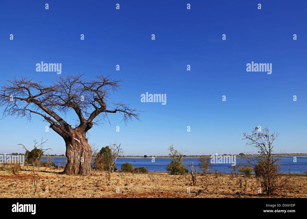 landscape at Chobe National Park, Botsuana Stock Photo
