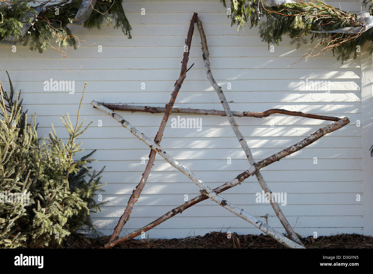 Christmas Decoration Star Made From Birch Branches Stock Photo
