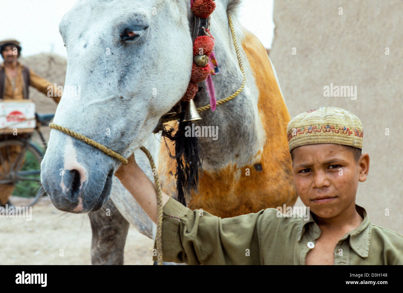 Portrait of an Afghan refugee boy with his elderly pony. Peshawar, Pakistan Stock Photo