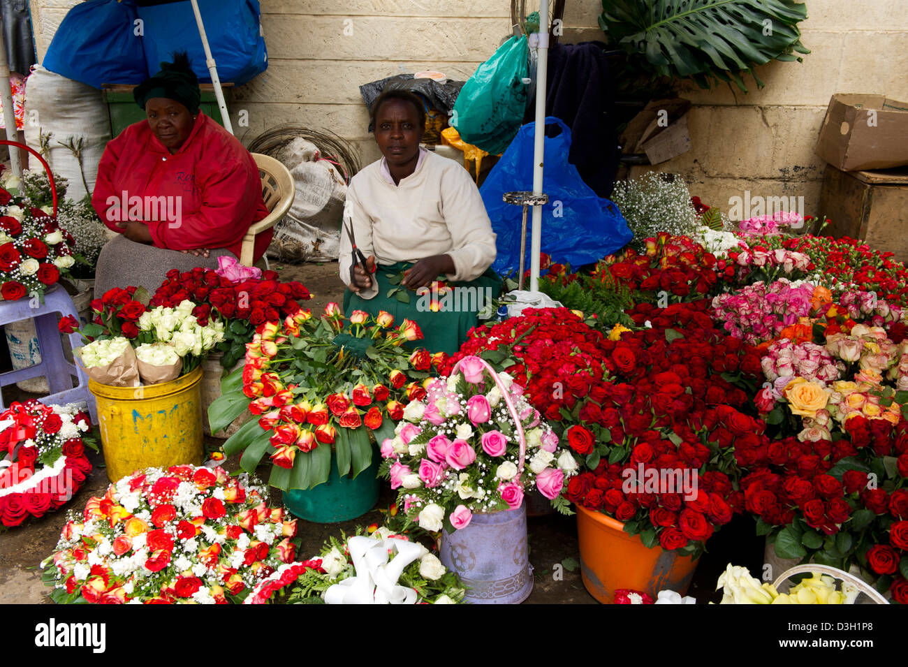 Flowers grown in kenya