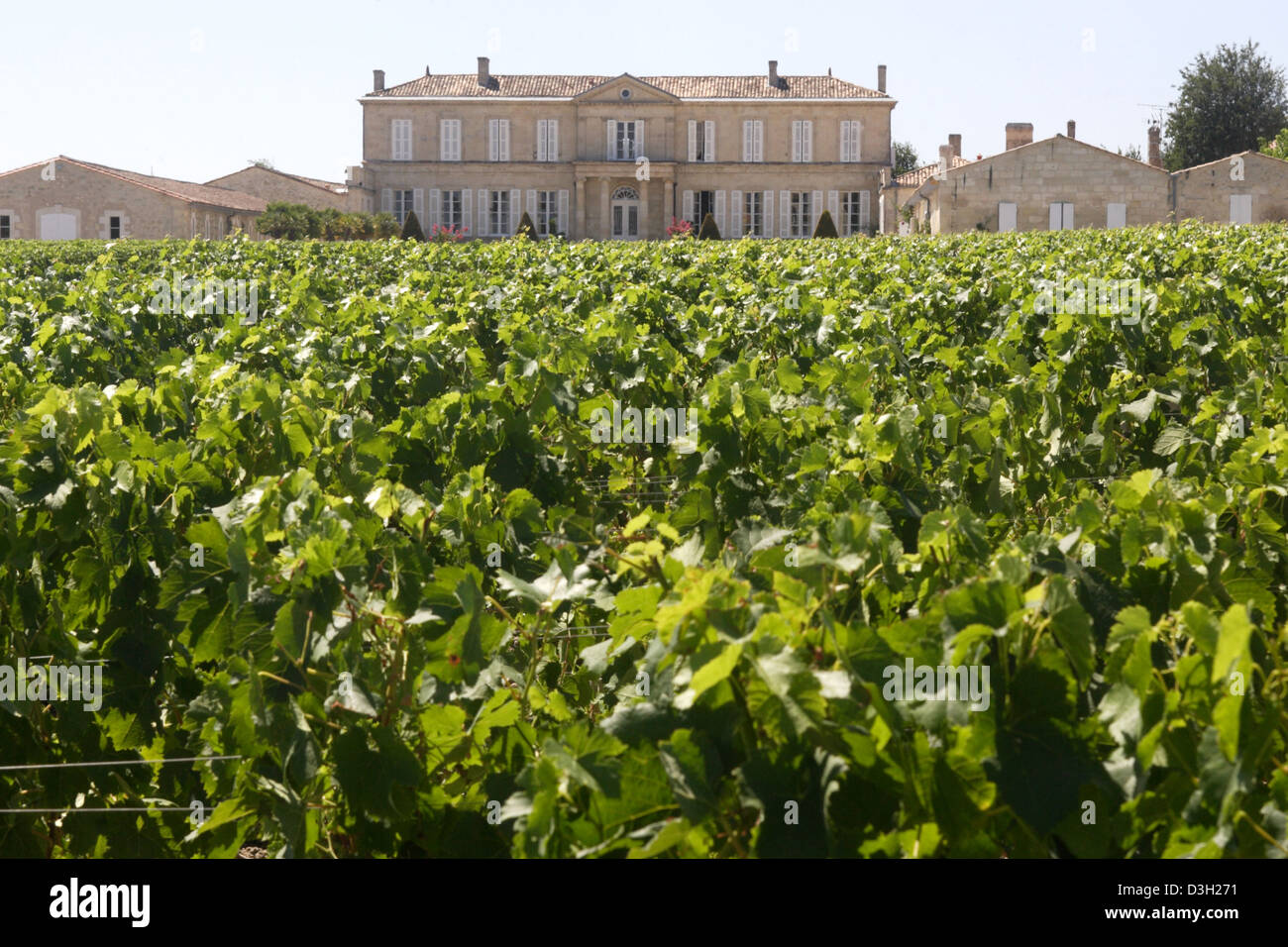 Chateau Julien Wine Estate Hi res Stock Photography And Images Alamy chateau-julien-wine-estate-hi-res-stock-photography-and-images-alamy