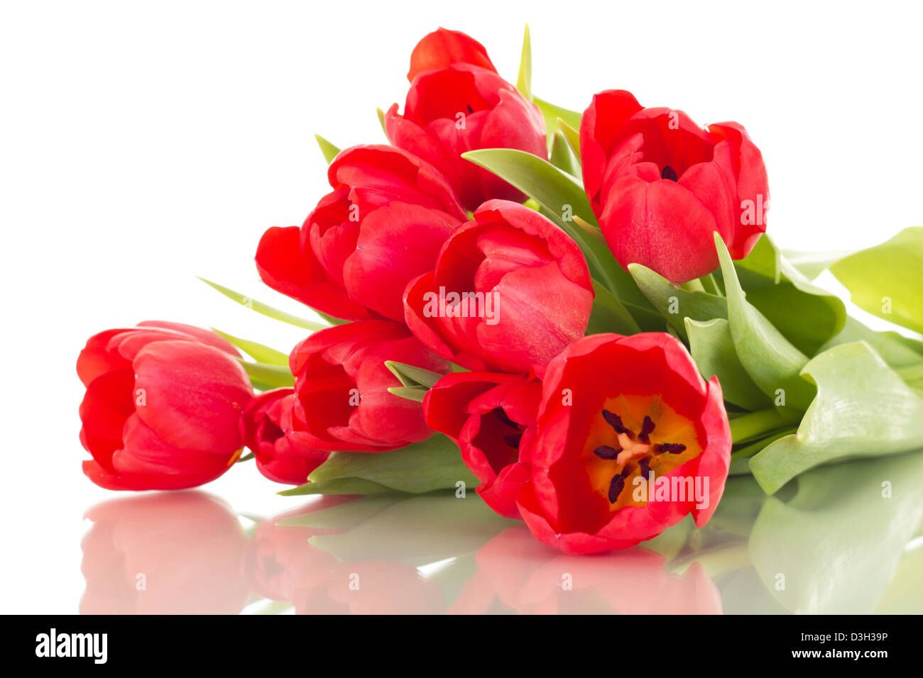 Bunch of tulips Stock Photo - Alamy