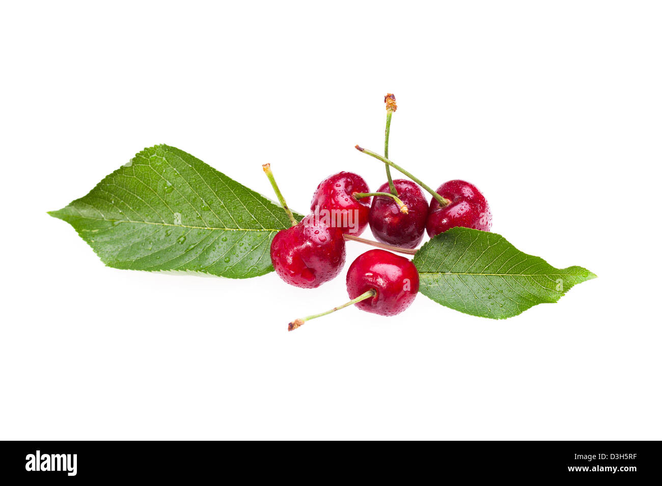 Ripe Cherries Over White Background Stock Photo - Alamy