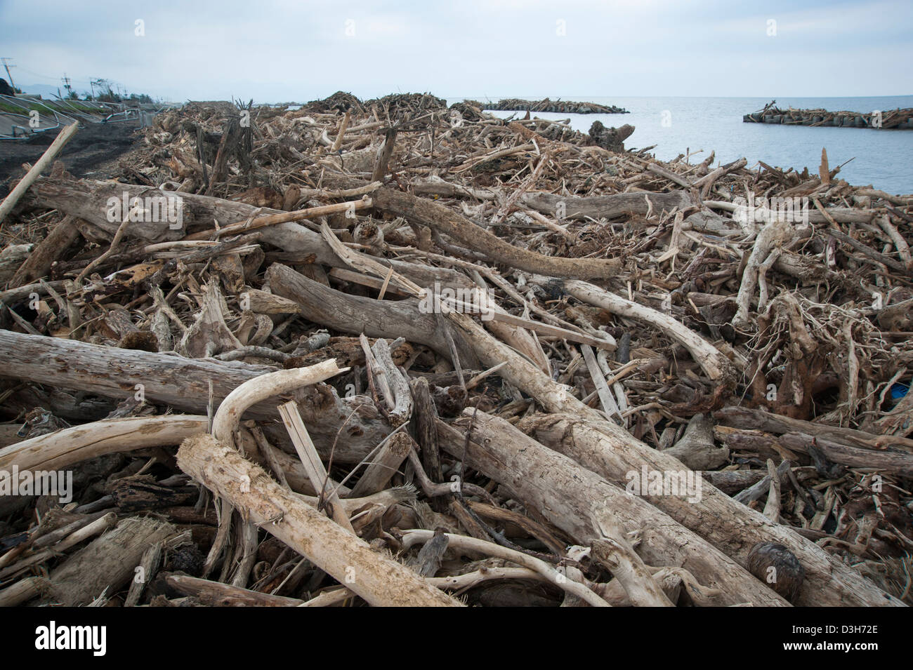 Driftwood piled up near Taidong, Taiwan, in the aftermath of Typhoon morakot Stock Photo