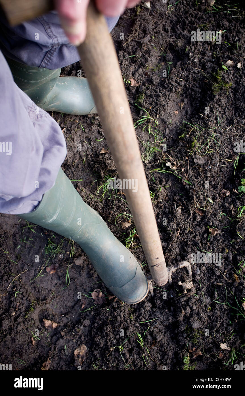 Digging and preparing the ground soil ready for planting vegetables