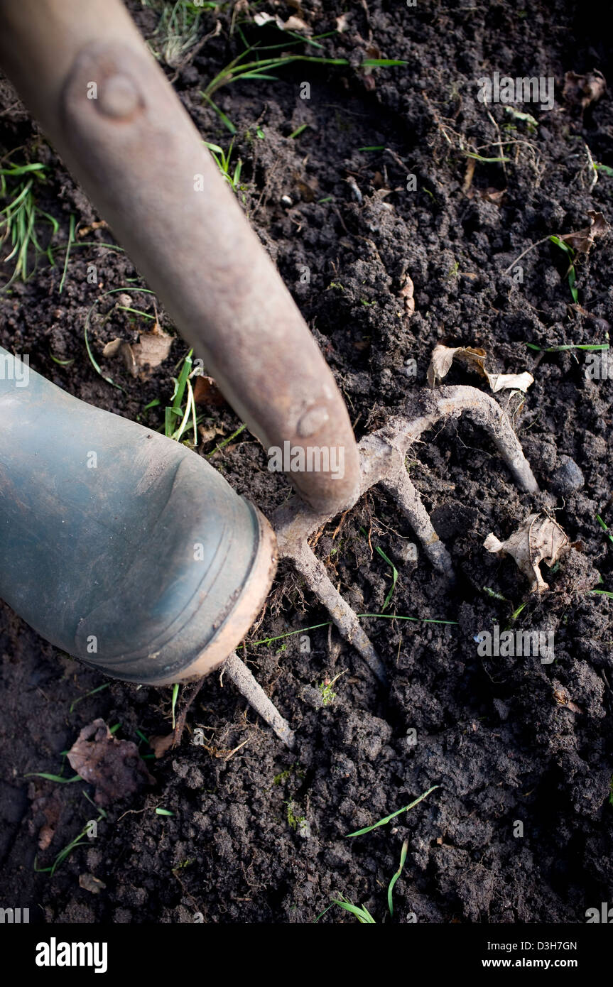 Digging and preparing the ground soil ready for planting vegetables