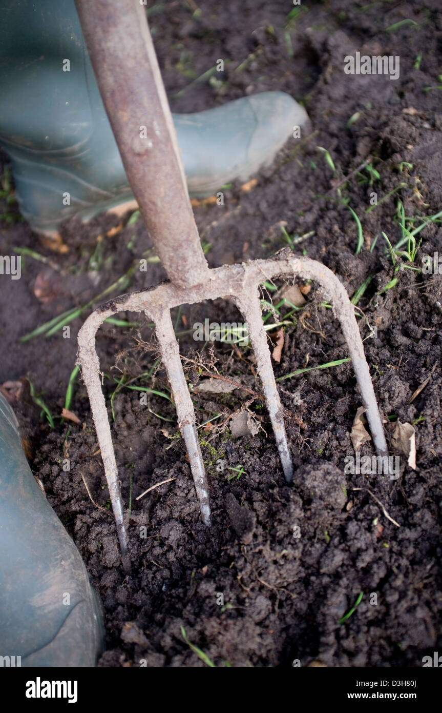 Digging and preparing the ground soil ready for planting vegetables