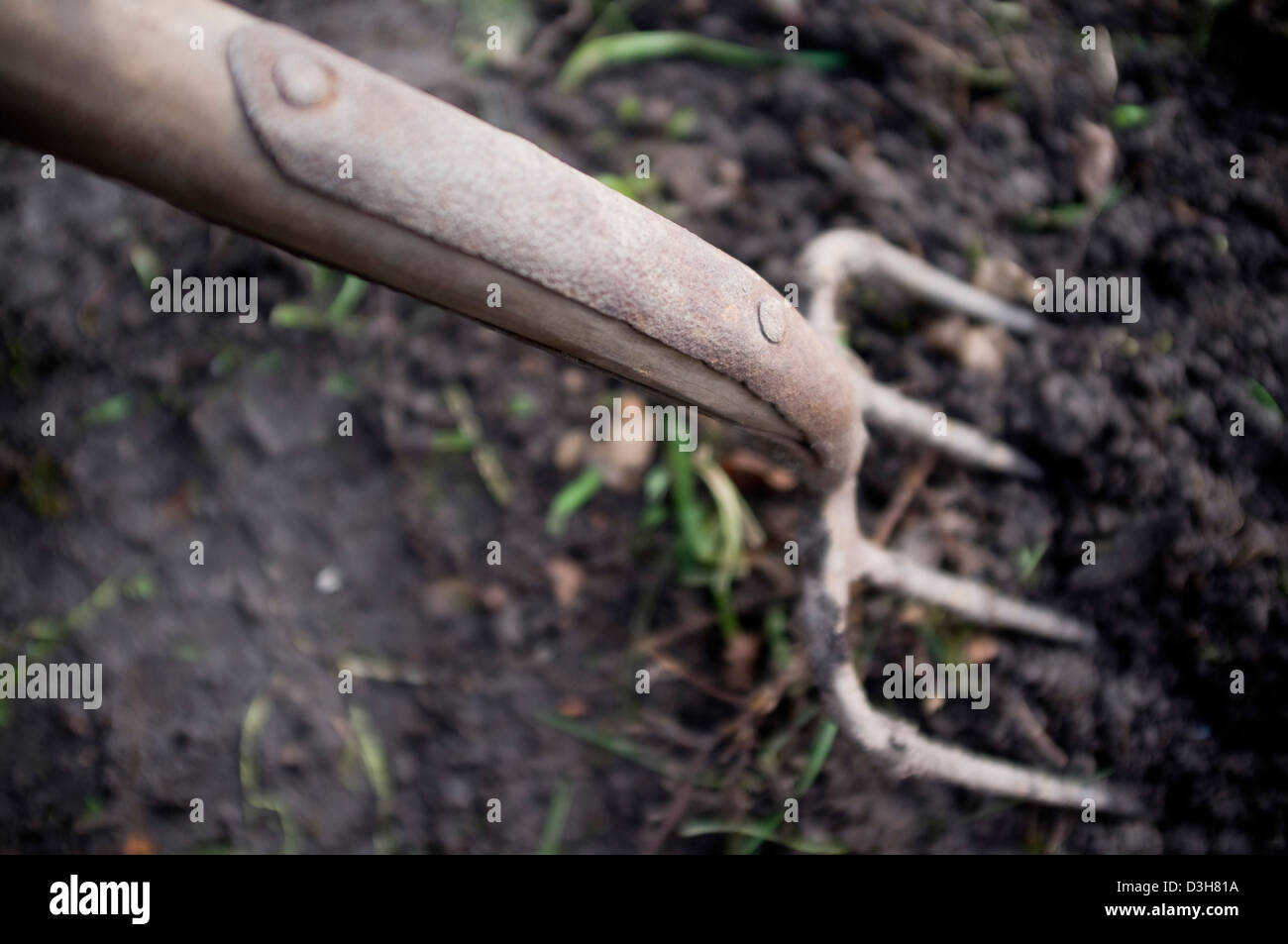 Digging and preparing the ground soil ready for planting vegetables